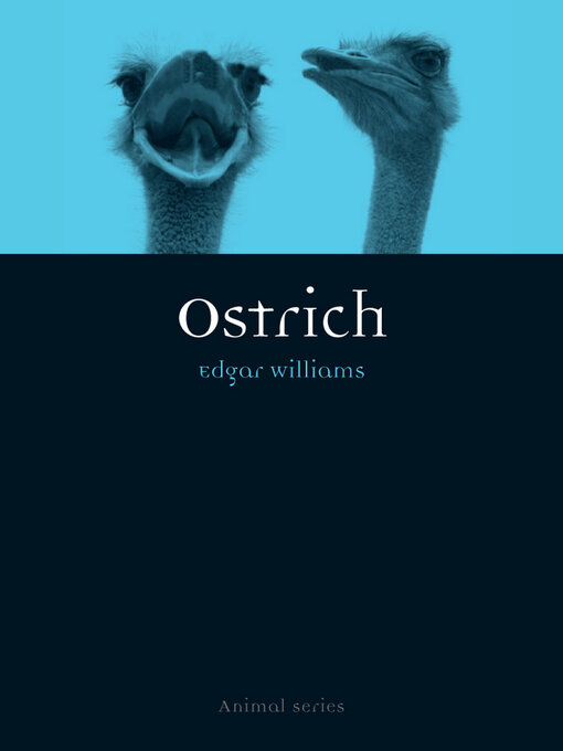 Title details for Ostrich by Edgar Williams - Available